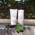 Perfume body Lotion