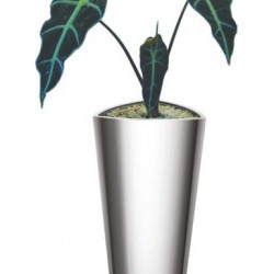 Flower Pot Flower Pot
