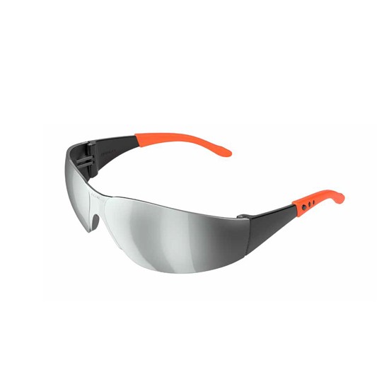 Protective Goggles