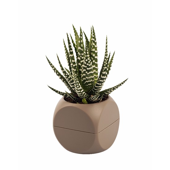 POT