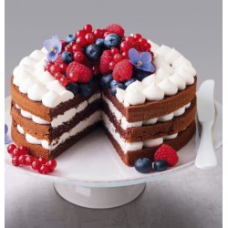 Cake Serving Container