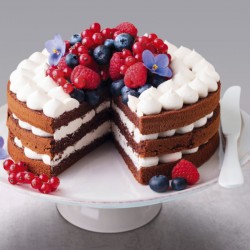 Cake Serving Container Cake Serving Container