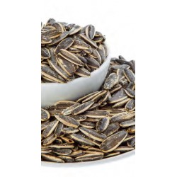 ROASTED SALTY DAKOTA SUNFLOWER SEEDS