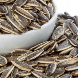 ROASTED SALTY DAKOTA SUNFLOWER SEEDS