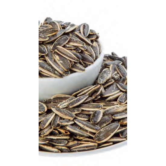 ROASTED SALTY DAKOTA SUNFLOWER SEEDS