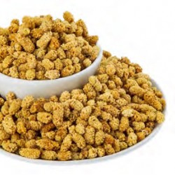 DRIED MULBERRY DOUBLE SOUR