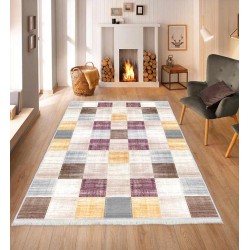 Printed Carpets For Saloon