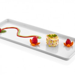 RECTANGULAR Plate RECTANGULAR Plate