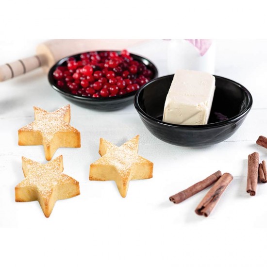 STAR COOKIE MOLD 4 PCS