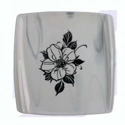 Plate Plate