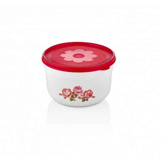 Storage Box 1 Lt 