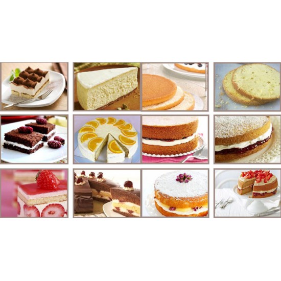 Sponge Cake Cutting Machine