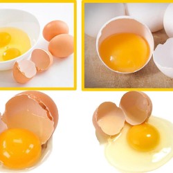 Egg Cracking Machine Egg Cracking Machine