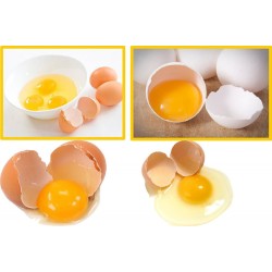 Egg Cracking Machine