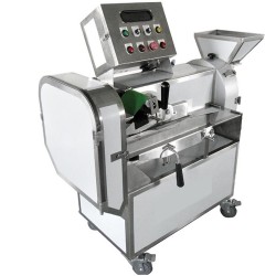 Fruit Vegetable Washing and Chopping Machine Fruit Vegetable Washing and Chopping Machine