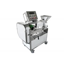 Fruit Vegetable Washing and Chopping Machine