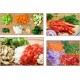 Fruit Vegetable Washing and Chopping Machine