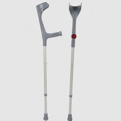 Walking stick Walking stick