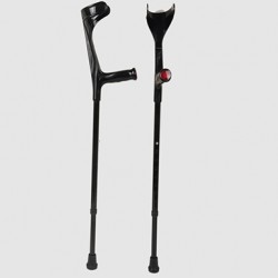 Walking stick Walking stick