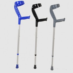 Walking stick Walking stick