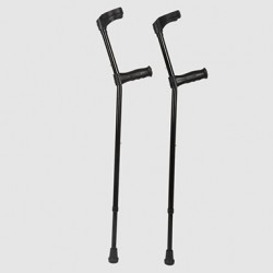 Walking stick Walking stick