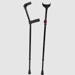 Walking stick Walking stick