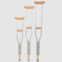 Walking stick Walking stick