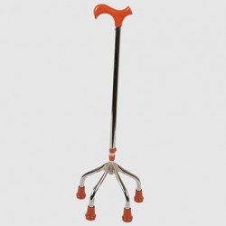 Walking stick Walking stick