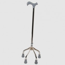 Walking stick Walking stick