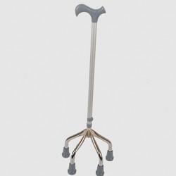 Walking stick Walking stick