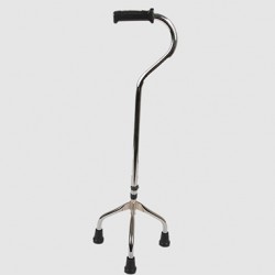 Walking stick Walking stick