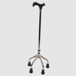 Walking stick Walking stick