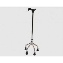 Walking stick
