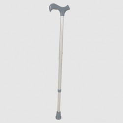 Walking stick Walking stick