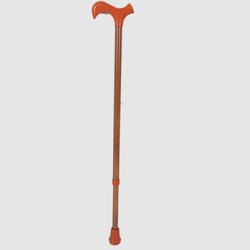 Walking stick Walking stick