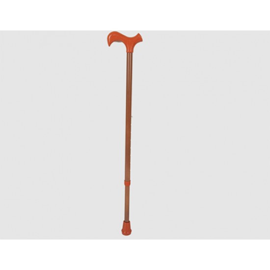 Walking stick