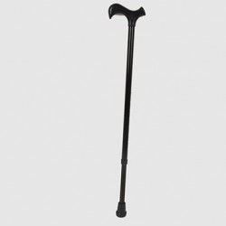 Walking stick Walking stick