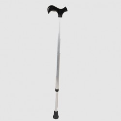 Walking stick Walking stick